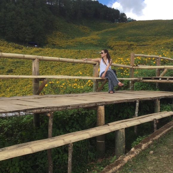 Meet your Posher, Pim - Picture 3 of 3